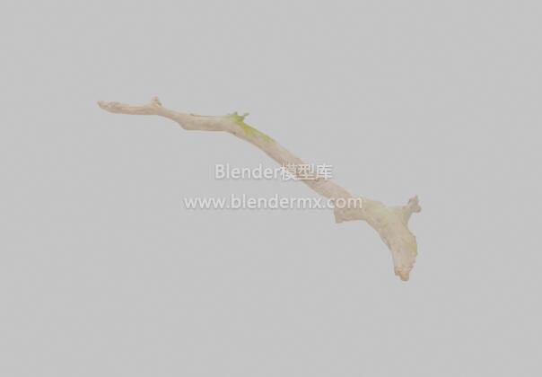 干枯苔藓树枝