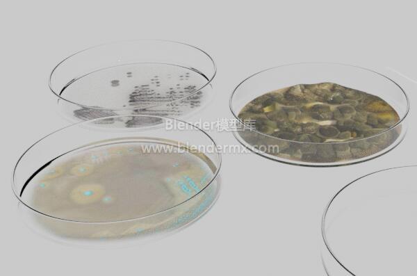 多个培养皿细菌