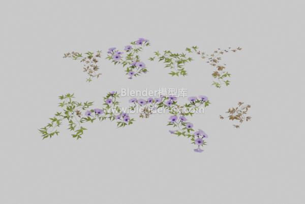 紫花藤蔓