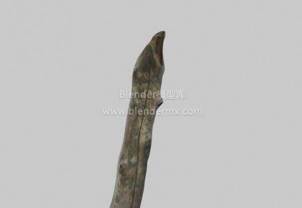 枯树干树枝