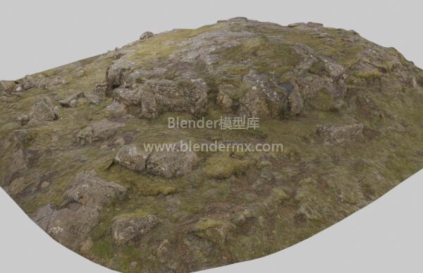 冰岛苔藓岩石地面