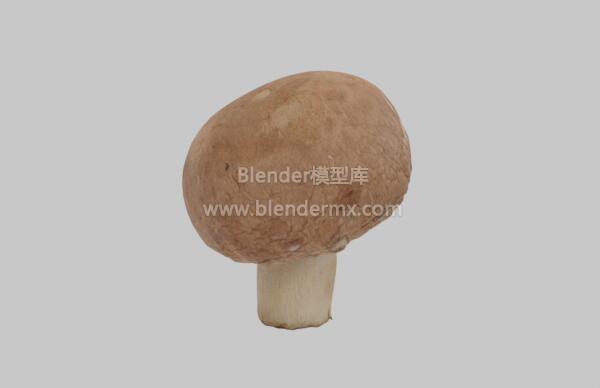 棕色裂褶菌蘑菇