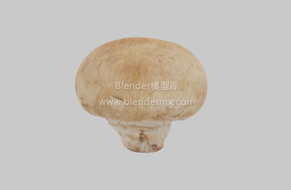 浅色裂褶菌蘑菇