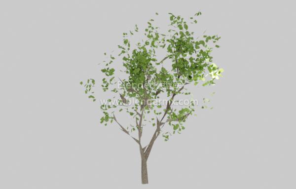 稀疏翠绿LOD树