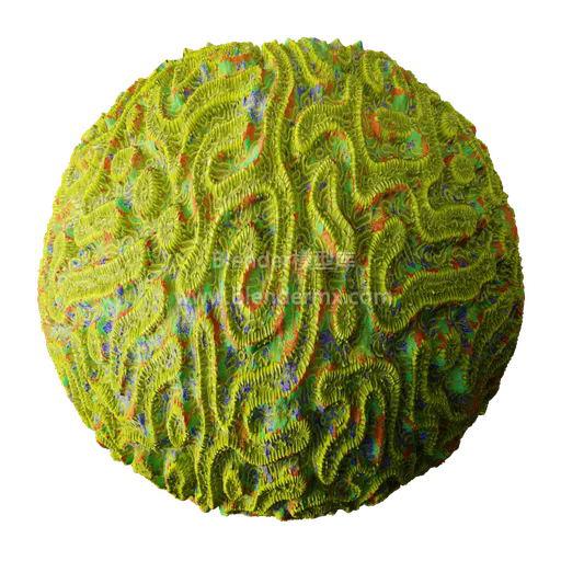 外星球珊瑚大脑