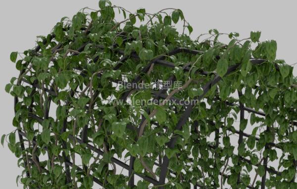 金属廊架藤蔓架花架