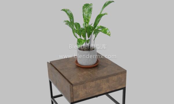 盆栽绿植床头柜